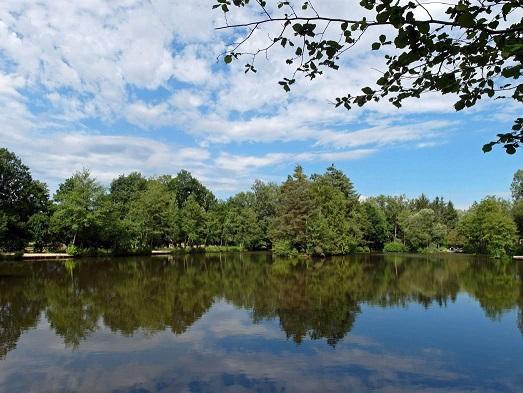 6 Amazing Carp fishing lakes in Brittany France - Beausoleil Carp AnD Cats View Of The Lake