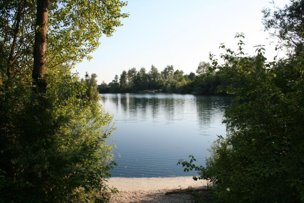 Bill's Lake 1 France Dream Carp Holidays