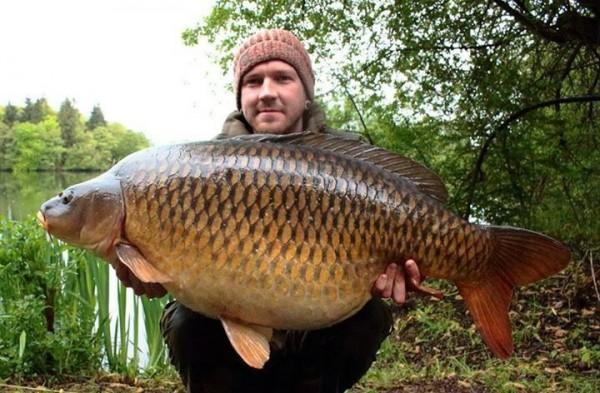 6 Amazing Carp fishing lakes in Brittany France - Cas En Lac Common