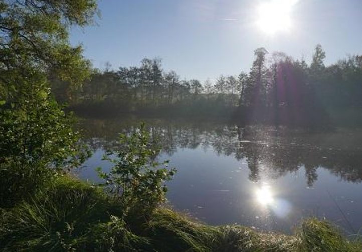 Dream Catchers Lake France Family Friendly Carp Holiday