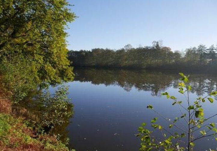 Dream Catchers Lake France Family Friendly Carp Holiday