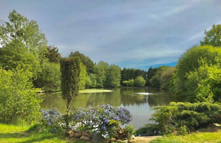 Etang Des Petits Chiens – 19 September, 2020