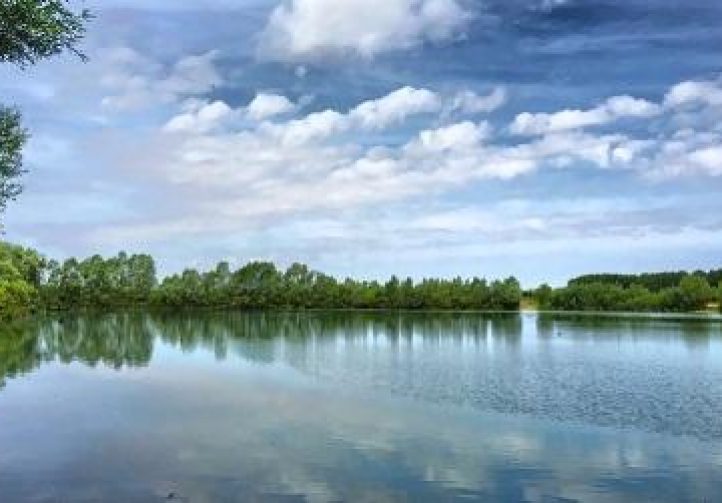 Lac Baleine France Carp Lakes Near Calais Dream Carp Holidays