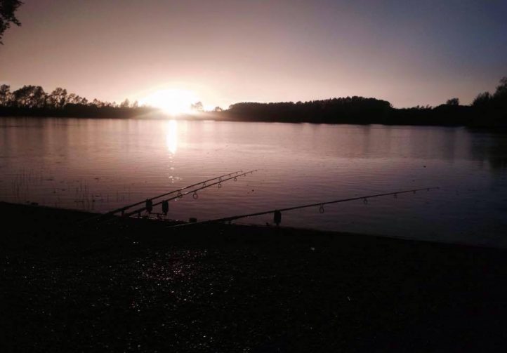 Lac Baleine France Carp Lakes Near Calais Dream Carp Holidays