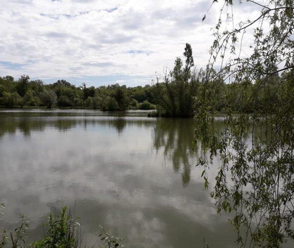 Lac de Laneuville Image