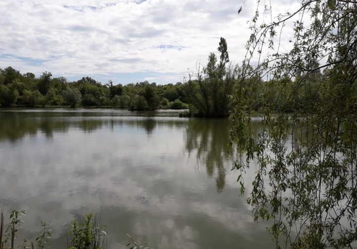 Lac de Laneuville Image