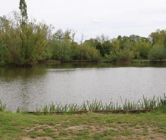 Lac de Laneuville Image