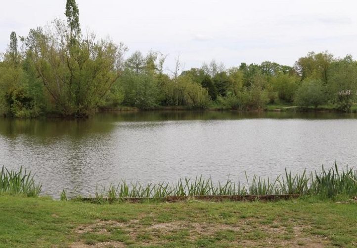 Lac de Laneuville Image