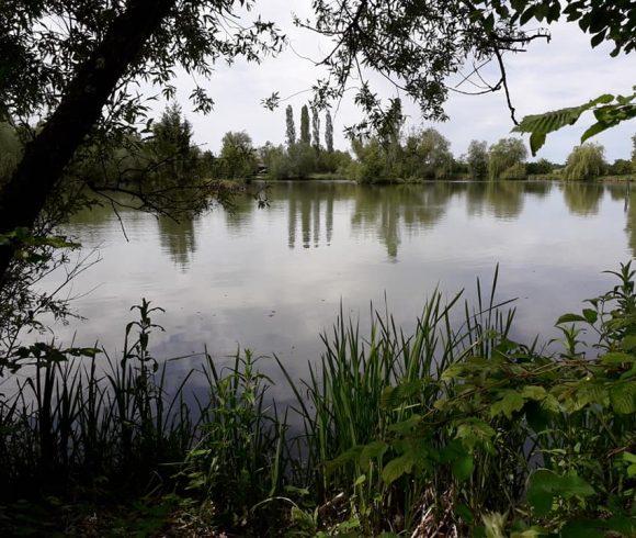 Lac de Laneuville Image