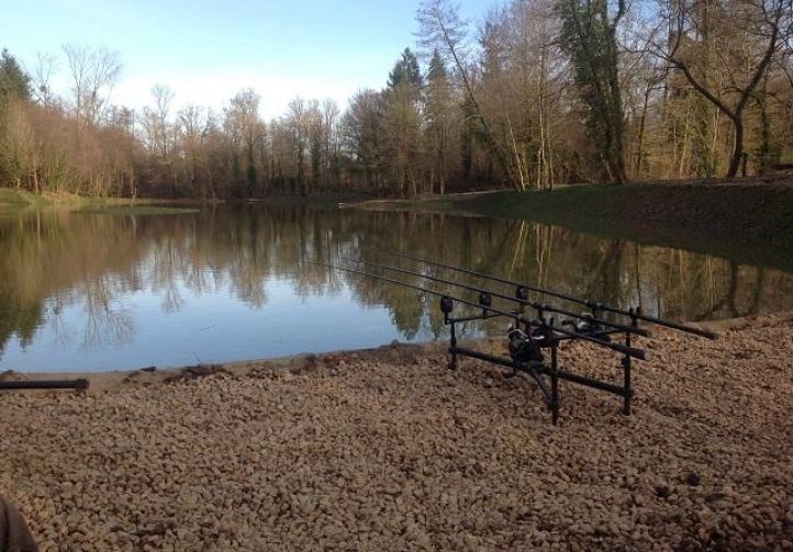 Kingfisher Lake France Puyravaud Carp Dream Carp Holidays