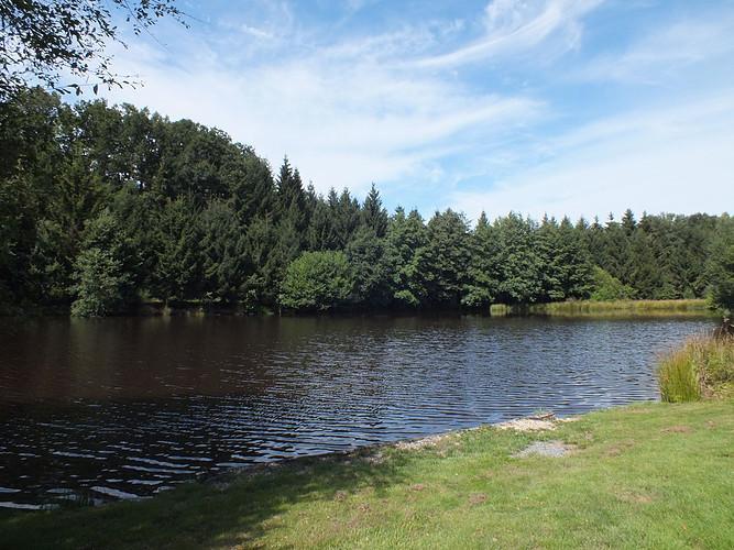 6 Amazing Carp fishing lakes in Brittany France