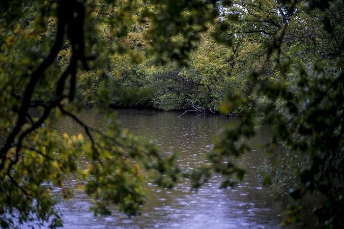 Autumn boilie fishing