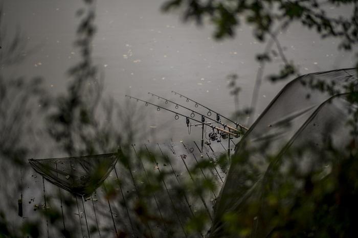 Boilies are an excellent source of food in autumn