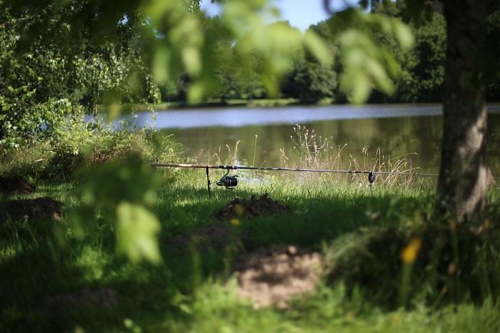 Tips and Tactics for Carp Fishing in France - Dream Carp Holidays