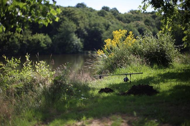 Margin fishing can be very productive when carp fishing in the summer