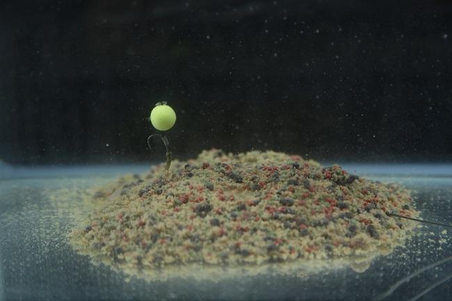 Fisherman filling pva mesh bag with trout pellets while carp