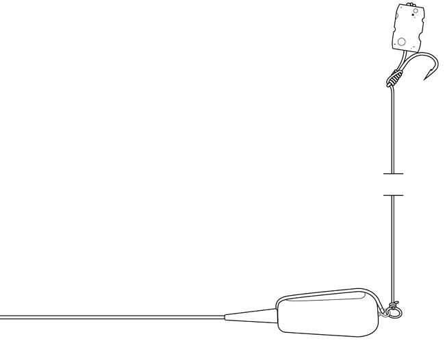 Zig Rig: A Technique for Carp Fishing