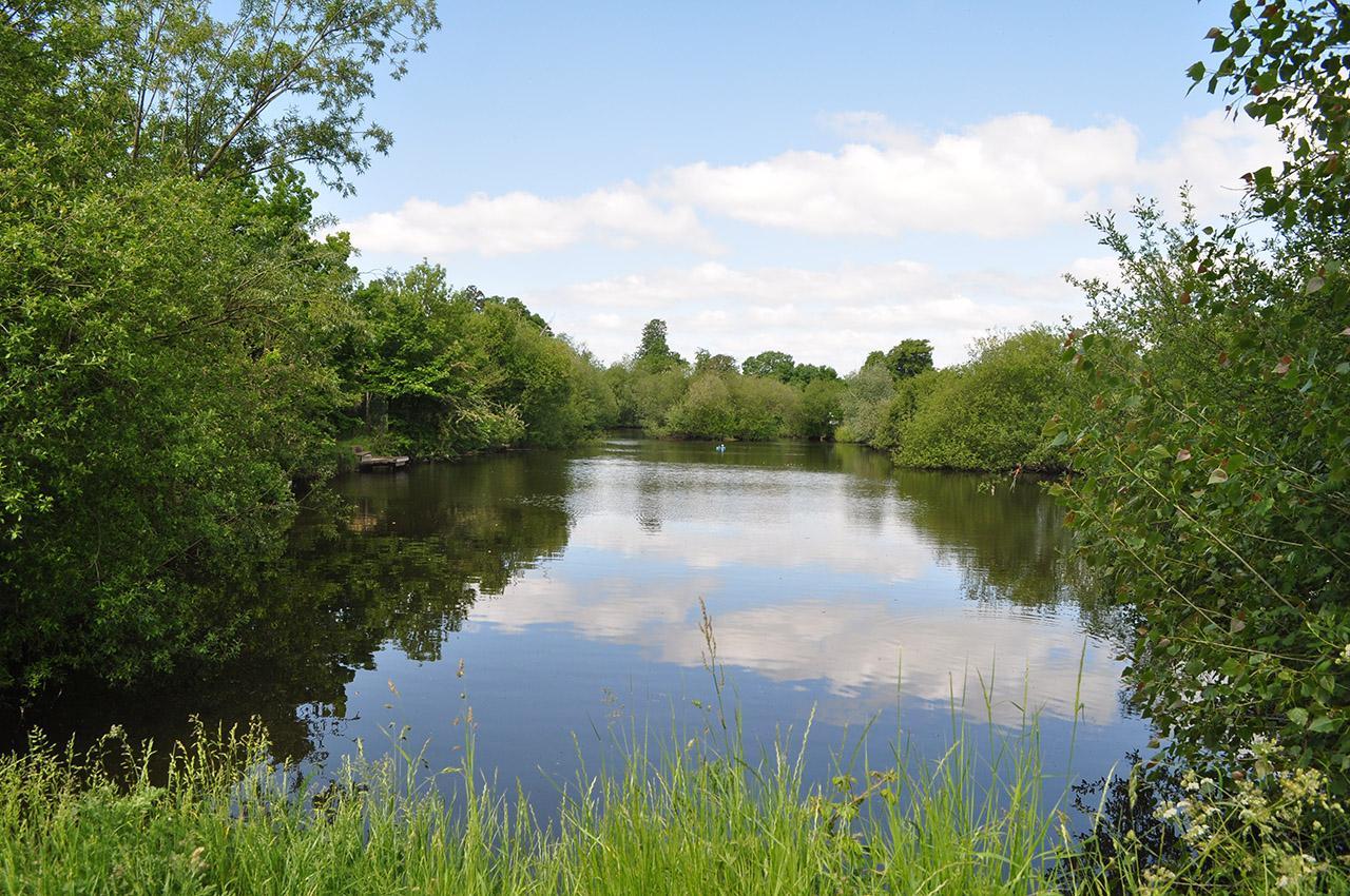 Approaching a new carp water