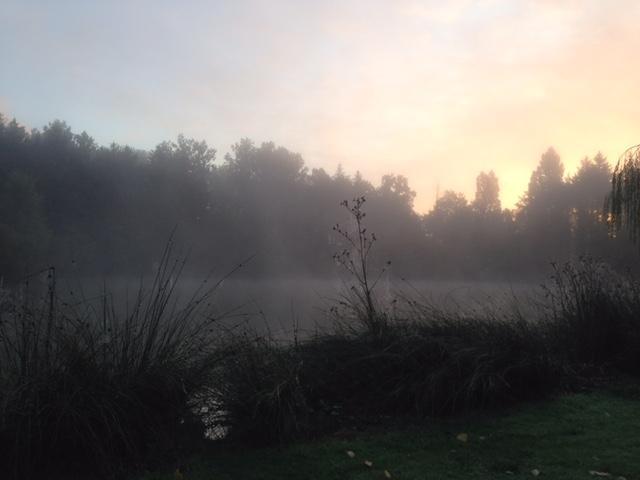 First light -fishing a new carp lake