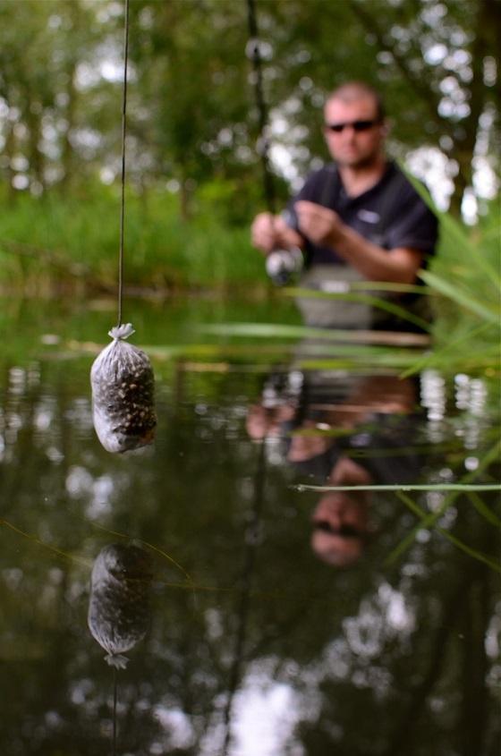 Stalking for Carp: How to Do It