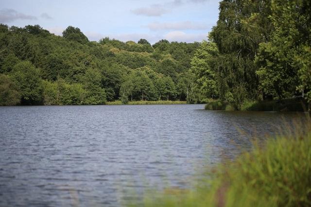 Low pressure carp fishing