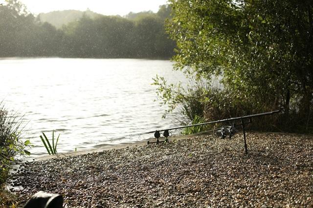 How Weather Patterns can Influence Carp Behaviour