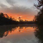 Martins’ Lakes – Specimen Lake Image
