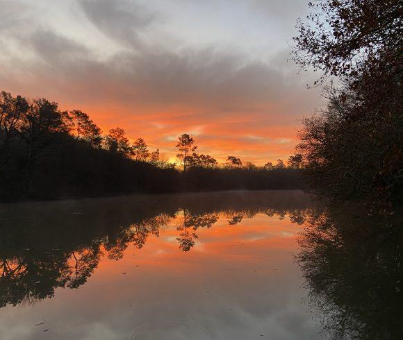 Martins’ Lakes – Specimen Lake Image