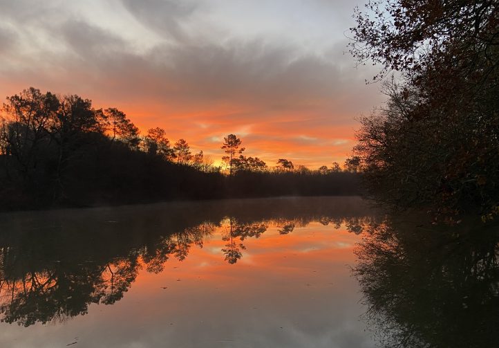 Martins’ Lakes – Specimen Lake Image