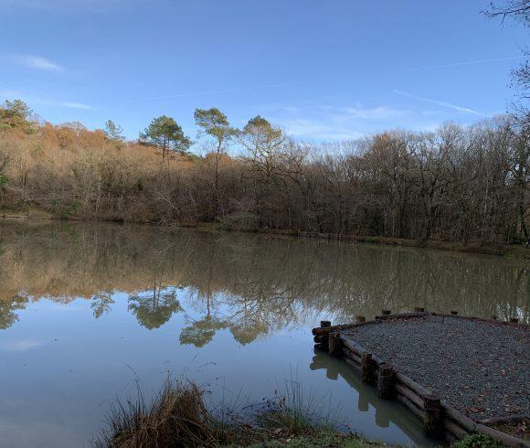 Martins’ Lakes – Specimen Lake Image
