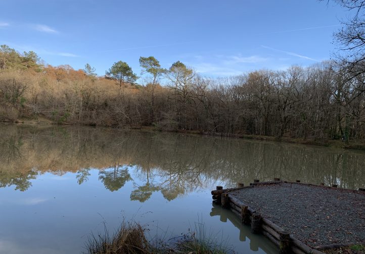 Martins’ Lakes – Specimen Lake Image