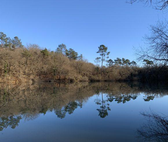 Martins’ Lakes – Specimen Lake Image