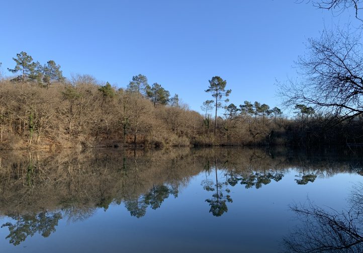Martins’ Lakes – Specimen Lake Image