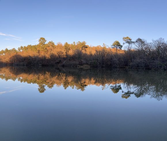 Martins’ Lakes – Specimen Lake Image