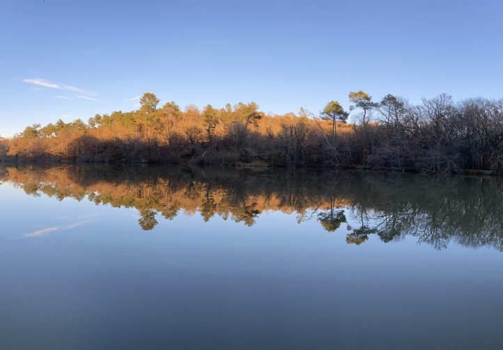 Martins’ Lakes – Specimen Lake Image