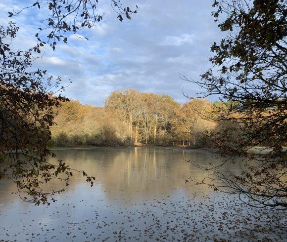 Martins’ Lakes – Gite and Coarse Lake Image