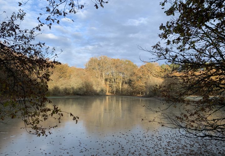 Martins’ Lakes – Gite and Coarse Lake Image