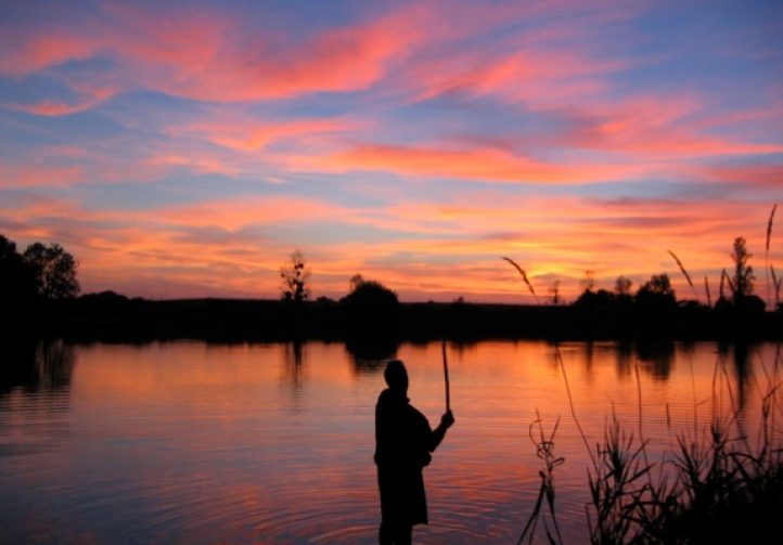 Rushes Lake France Dream Carp Holidays