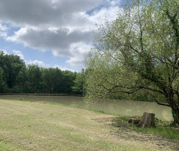 Martins’ Lakes – Gite and Coarse Lake Image