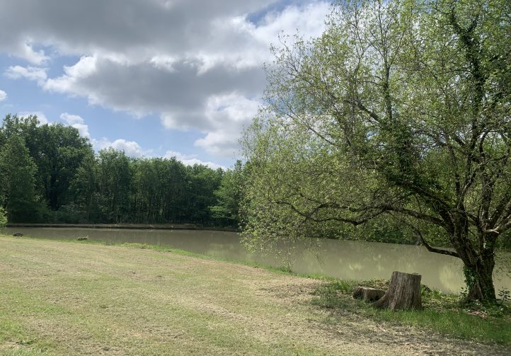 Martins’ Lakes – Gite and Coarse Lake Image