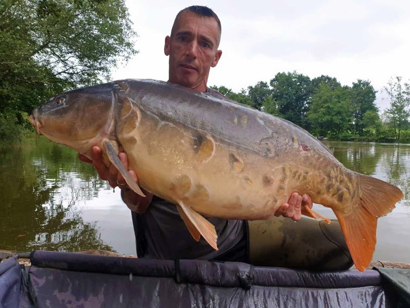 Beausoleil Carp and Cats – 08 August, 2020