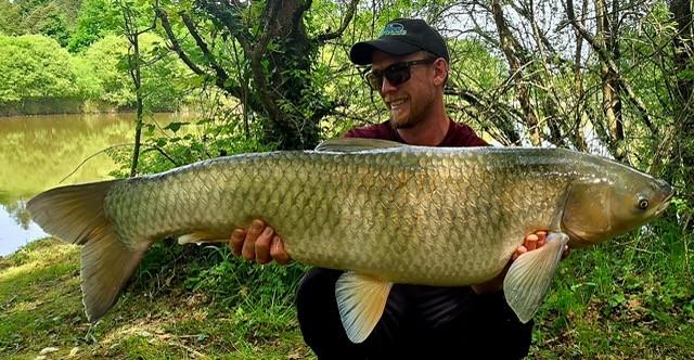 Carphunters Lake Image
