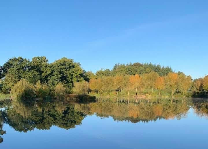 Etang Marolles – BelleVue Lake – 10 October, 2020