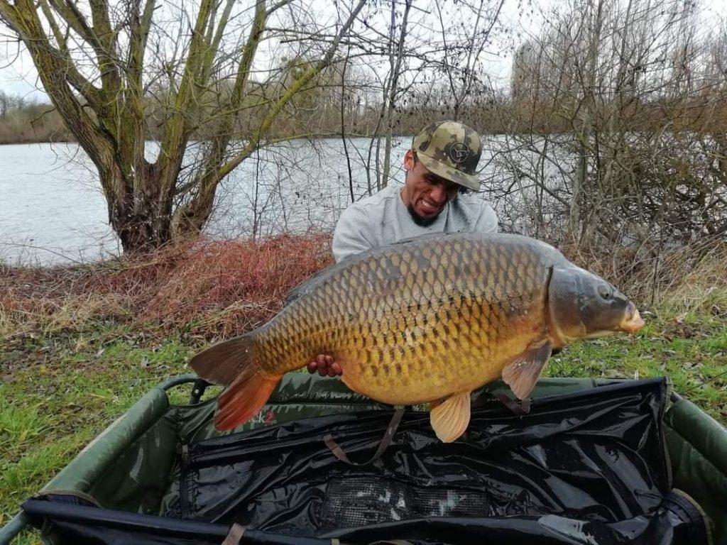 large carp on the continent