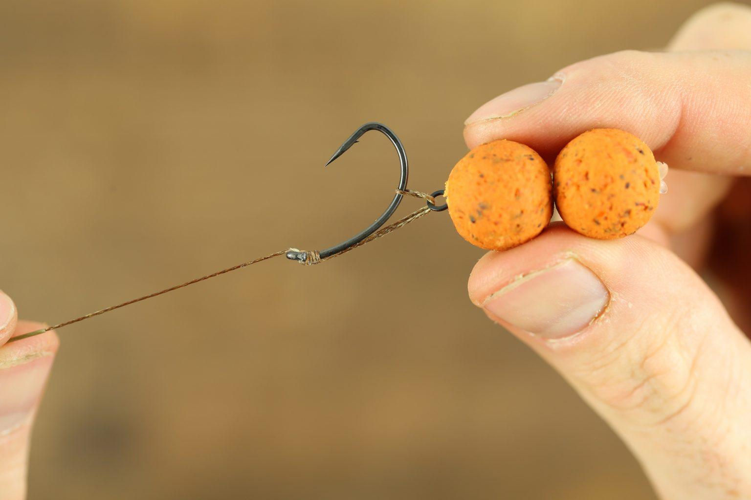 What are the Best Bottom Bait Rigs - Dream Carp Holidays