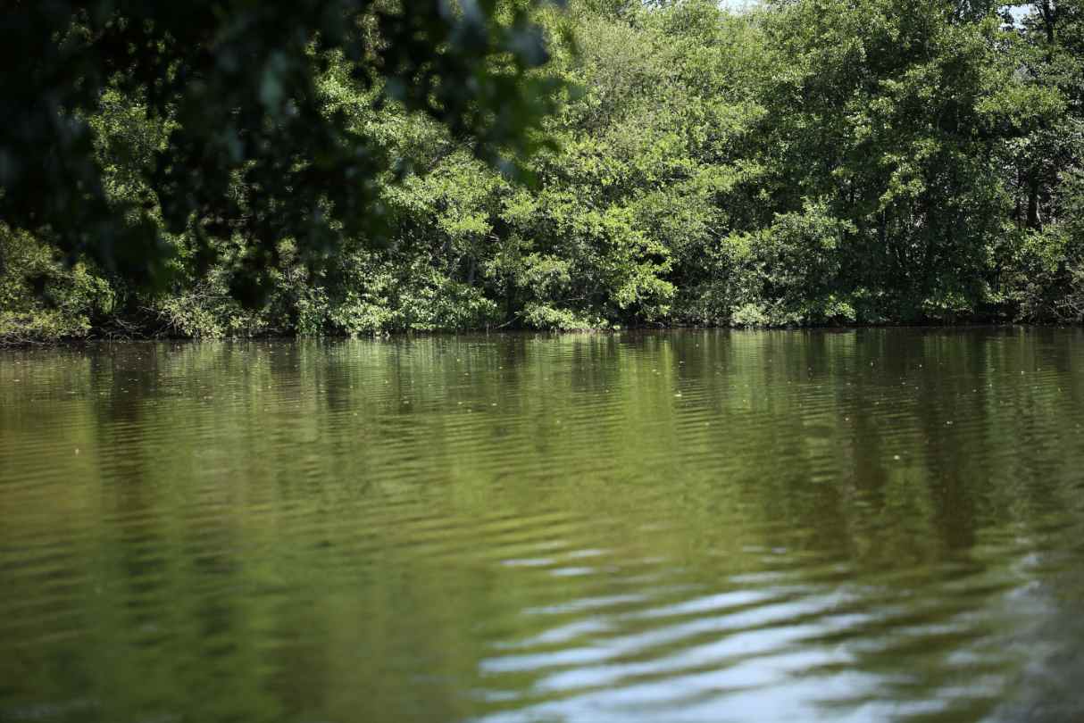 Areas of the lake lake which hold big carp