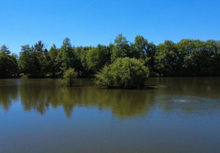 Bois de Printemps Image
