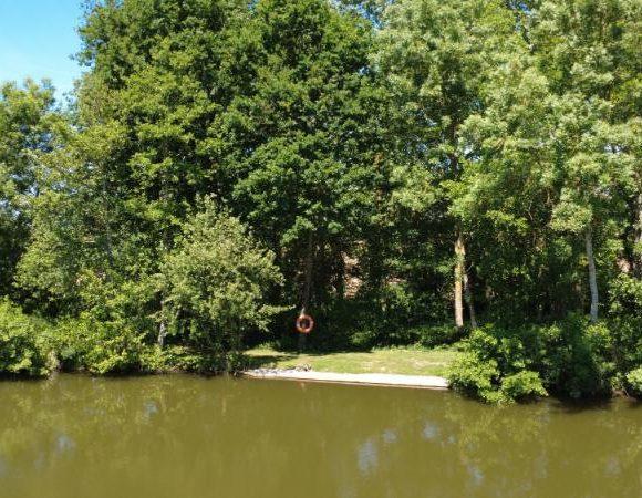 Bois de Printemps Image