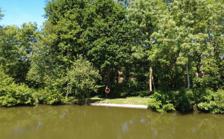Bois de Printemps Image