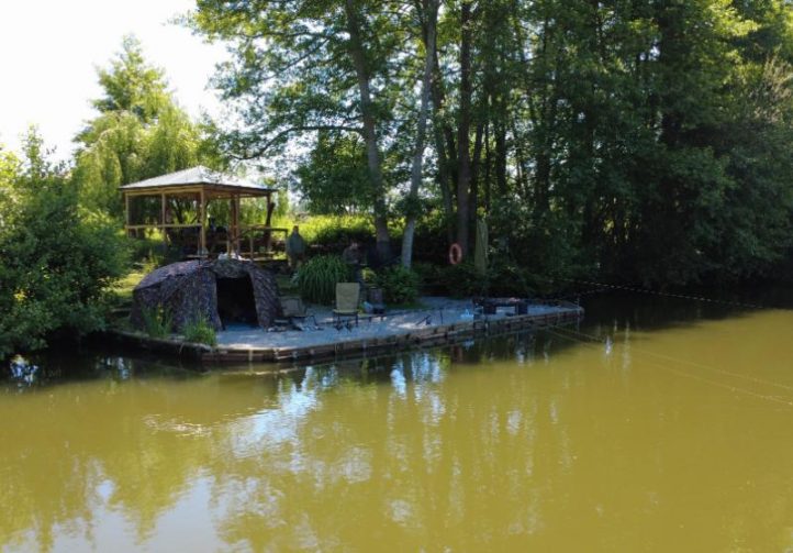 Bois de Printemps Image